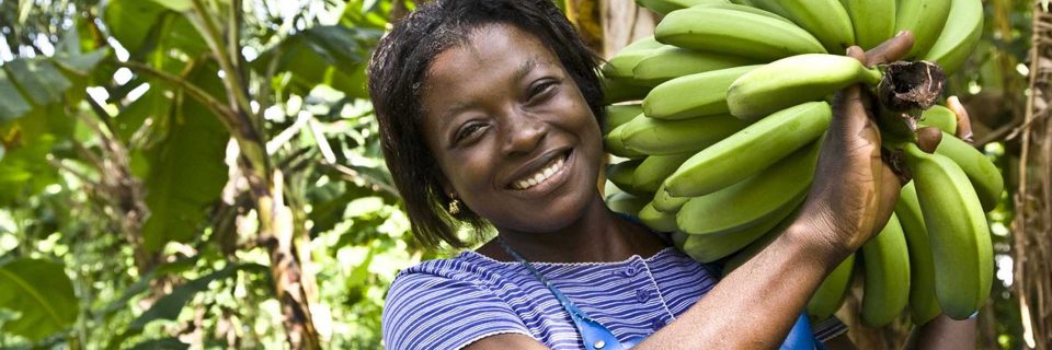 Als consument / gebruiker, als bedrijf, organisatie of als vrijwilliger?